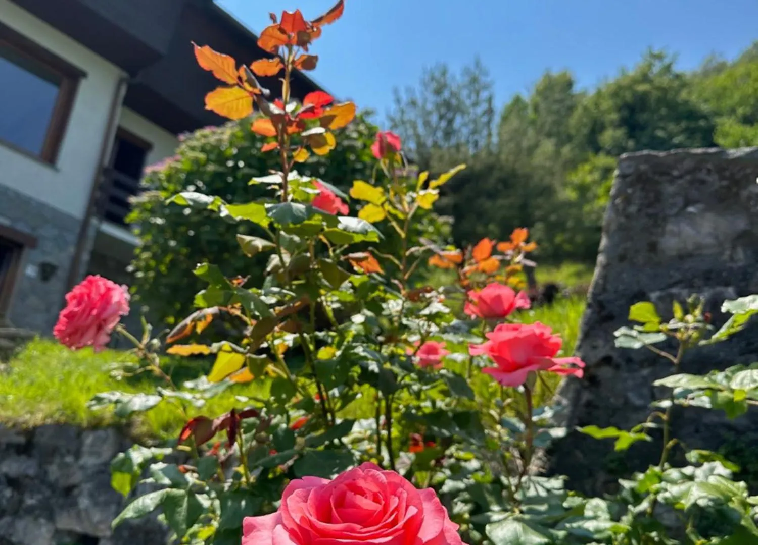 Villa D'Alba Guest House Civenna Italy